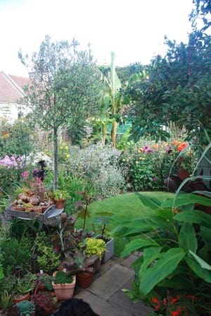 Bustin's Secret Garden