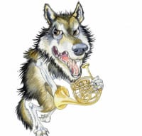 peter and the wolfsmall