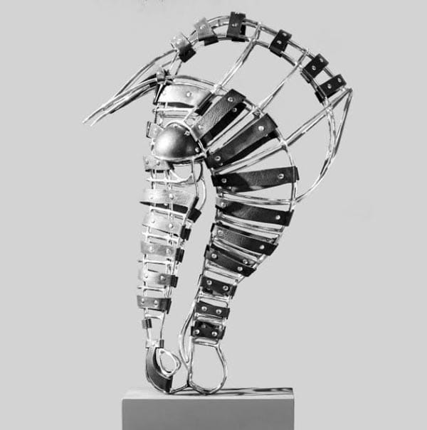 Equus Head 