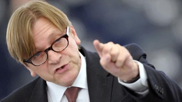 Guy Verhofstadt, MEP