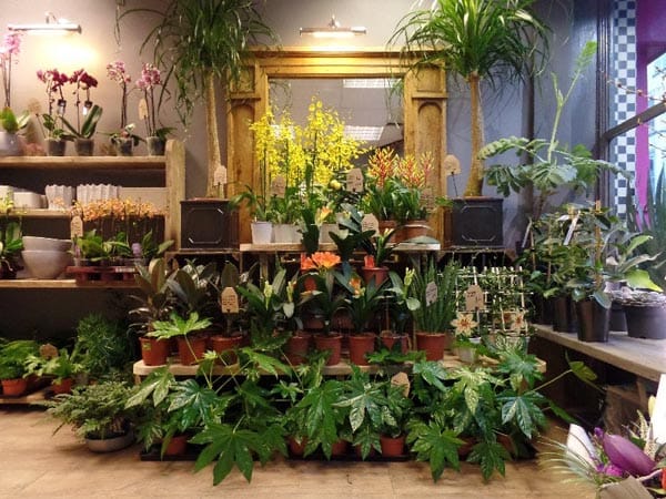 Hunter Florist