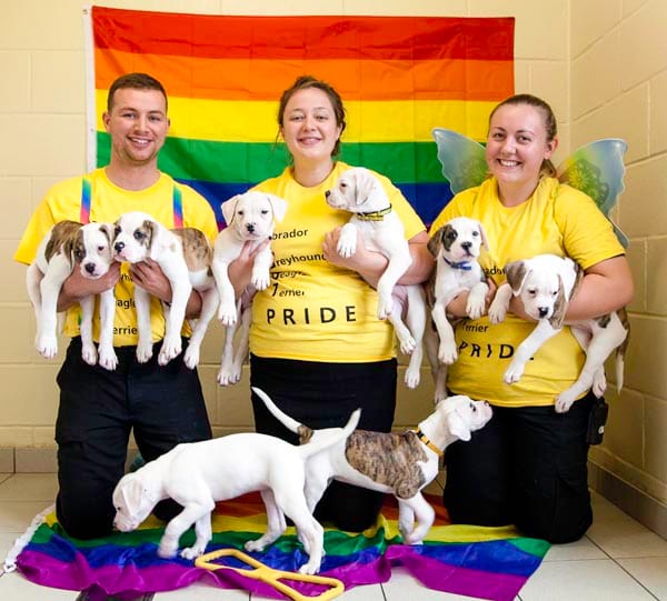 Dogs Trust Manchester