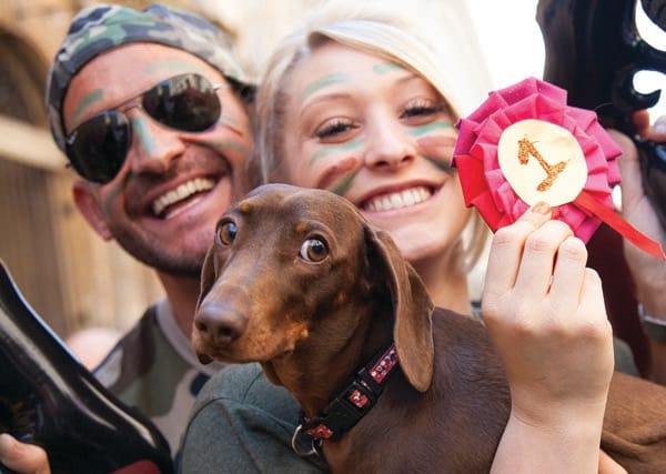 Bristol Pride Dog Show