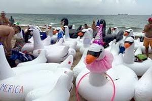Flockfest.300.2 Flockfest.300.2