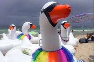 Flockfest.300 Flockfest.300