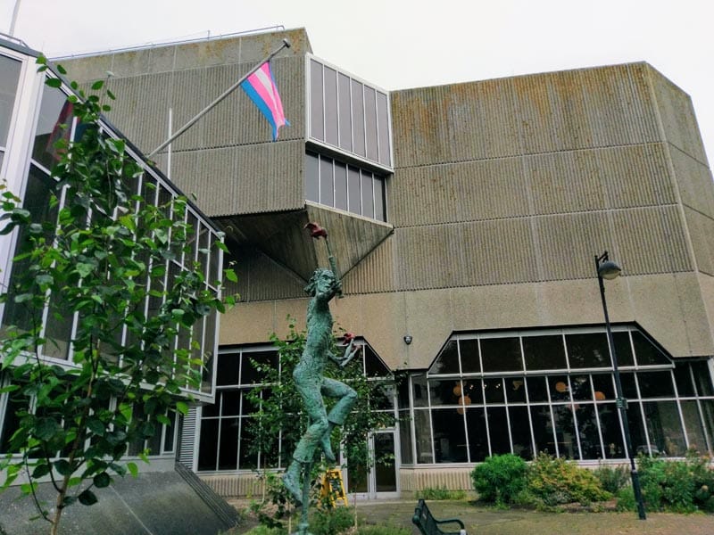 Hove Town Hall flies the Trans Flag to celebrate Trans Pride Brighton 2019